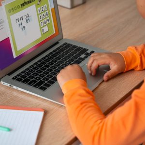 how to tame a cat on minecraft education