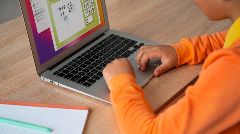 how to tame a cat on minecraft education